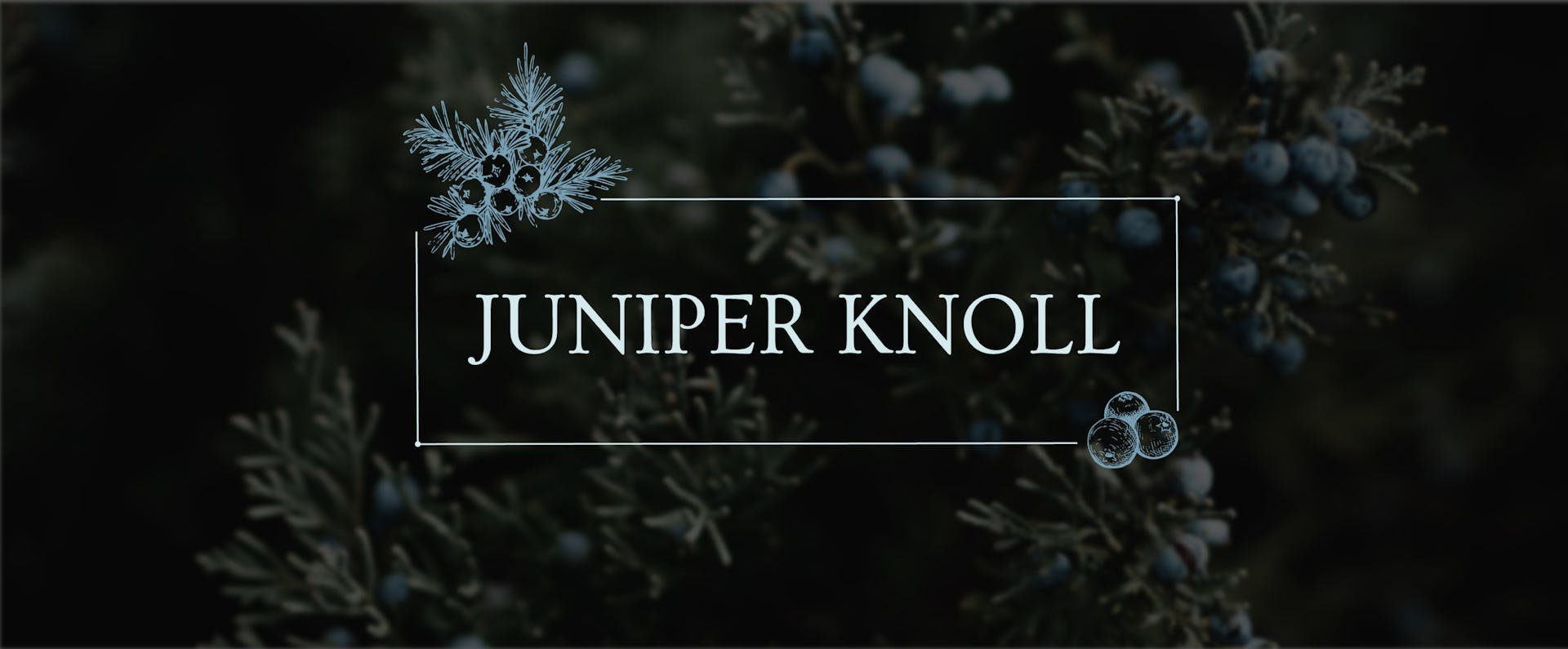 Juniper Knoll Website Head (1).jpg